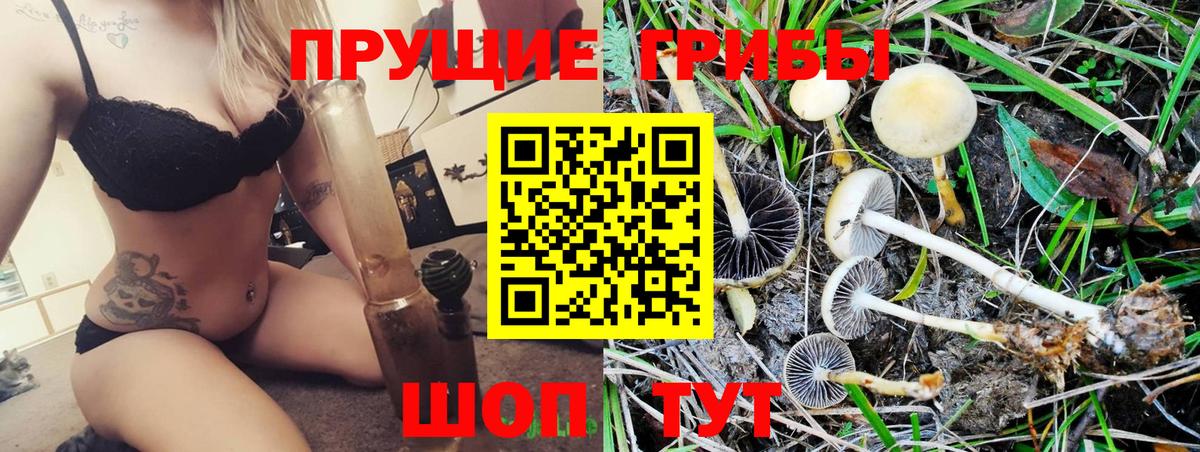 Псилоцибиновые грибы мухоморы  Вход с VPN  продажа наркотиков  Бугуруслан 