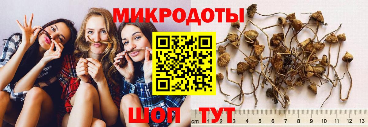 Галлюциногенные грибы ЛСД Бугуруслан